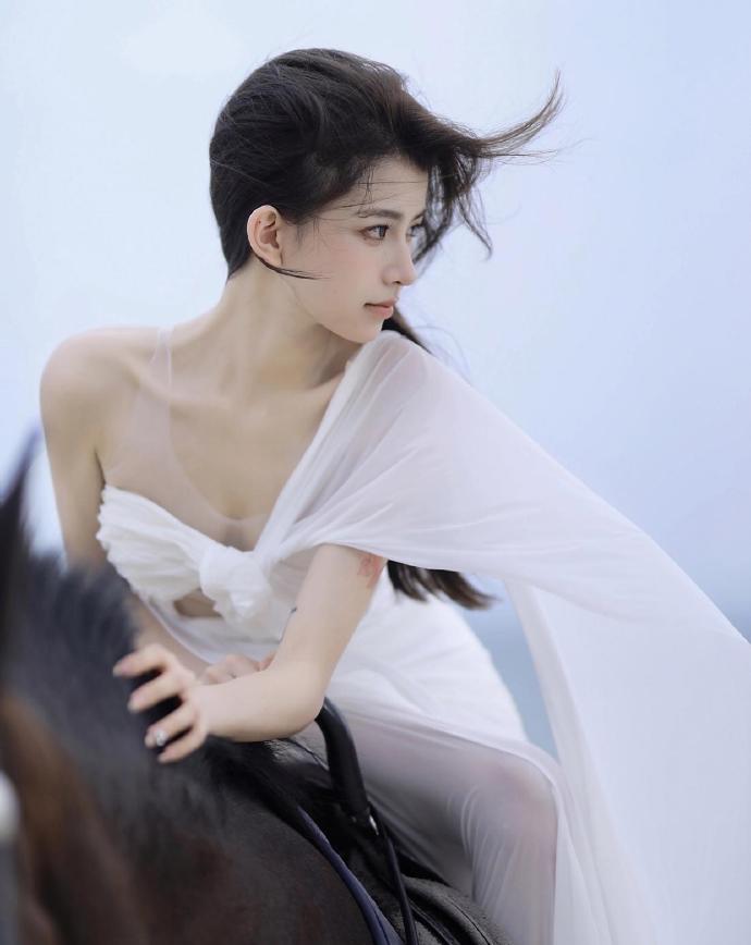 沉默的真相 封面